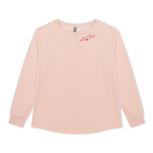 Be A Nice Human Crewneck